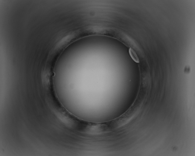 X0000102000072200807181214