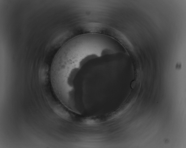 X0000102000073200807181214