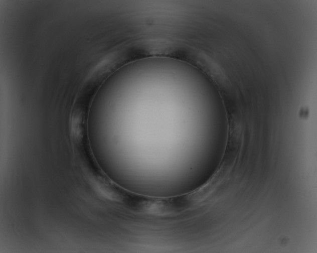 X0000102000074200807181214