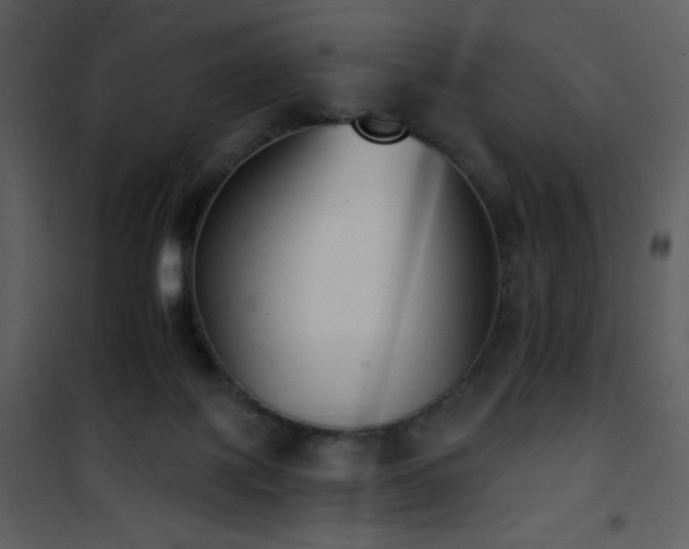 X0000102000075200807181214