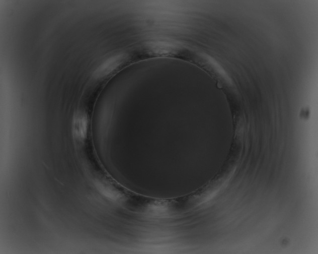 X0000102000076200807181214