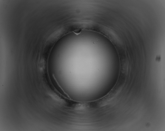 X0000102000077200807181214