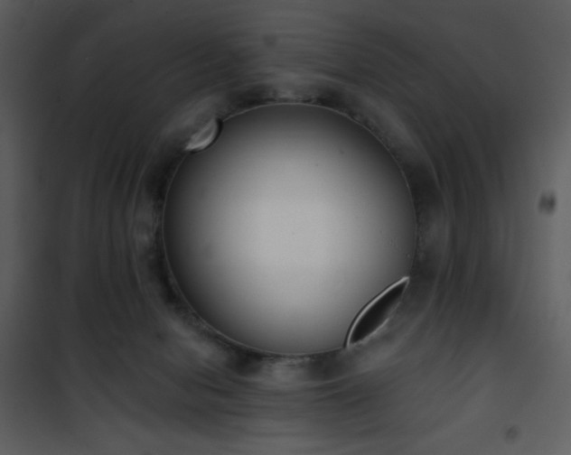 X0000102000078200807181215