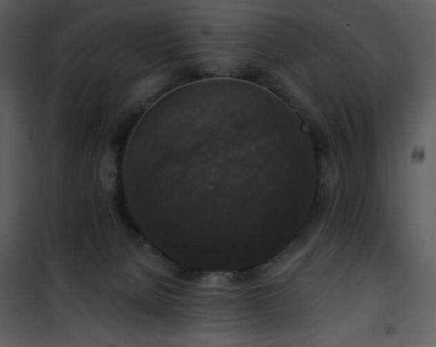 X0000102000080200807181215