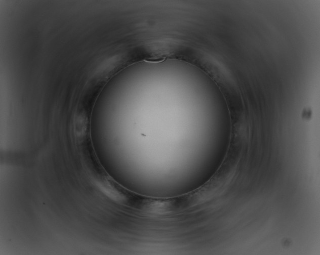 X0000102000081200807181215