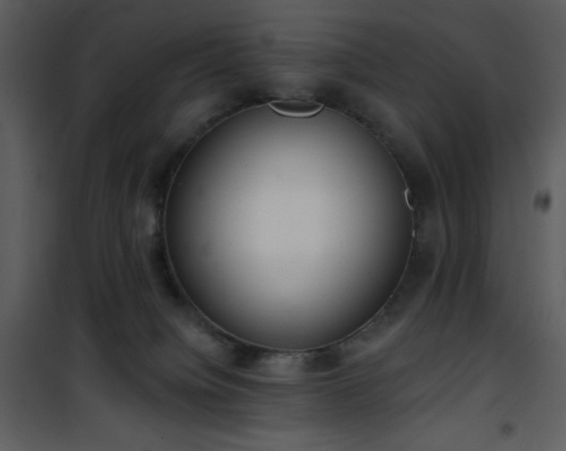 X0000102000084200807181215