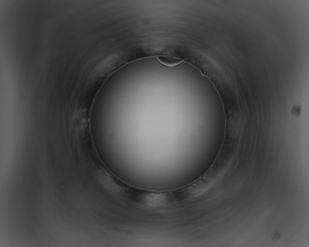 X0000102000085200807181215