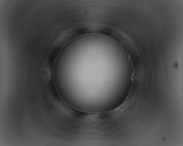 X0000102000086200807181215