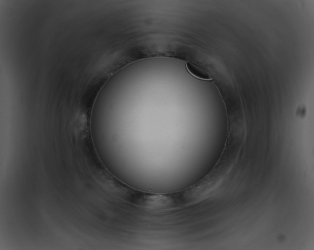 X0000102000087200807181215