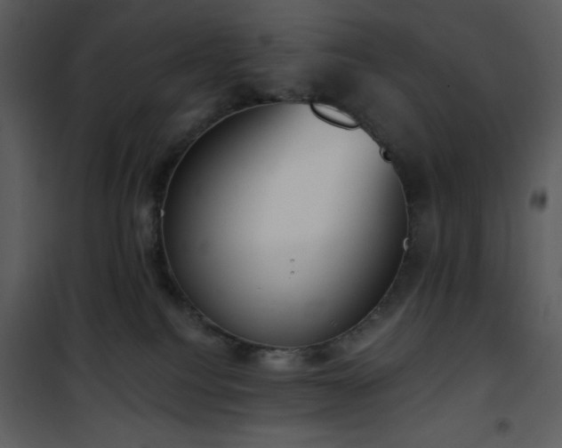 X0000102000088200807181215