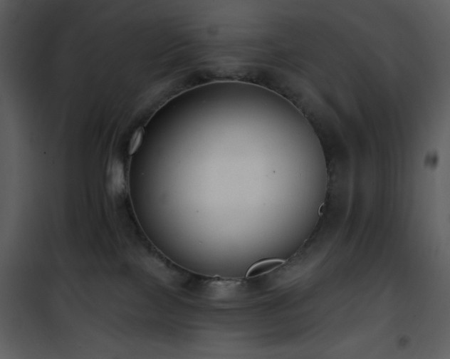 X0000102000089200807181215