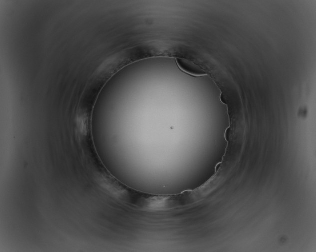 X0000102000090200807181215