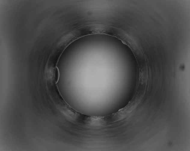 X0000102000093200807181215