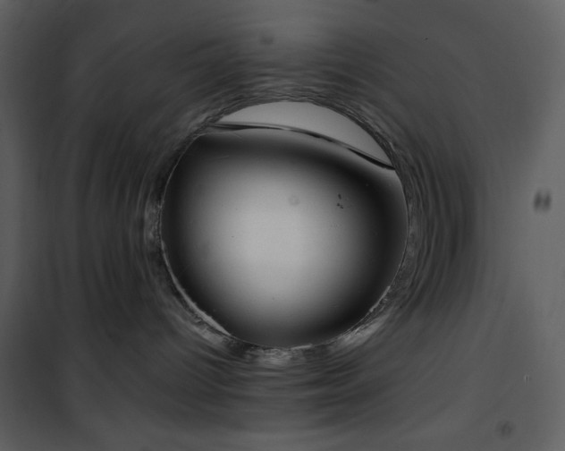 X0000102000096200807181215