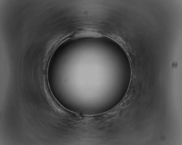 X0000102000097200807181214