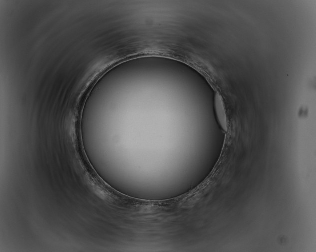 X0000102000098200807181214