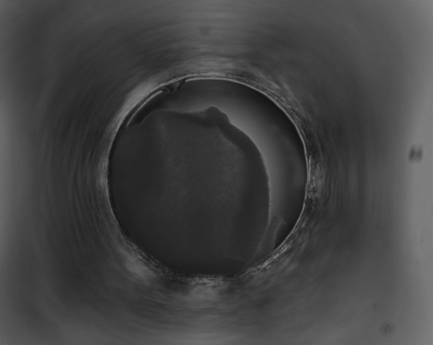 X0000102000099200807181214