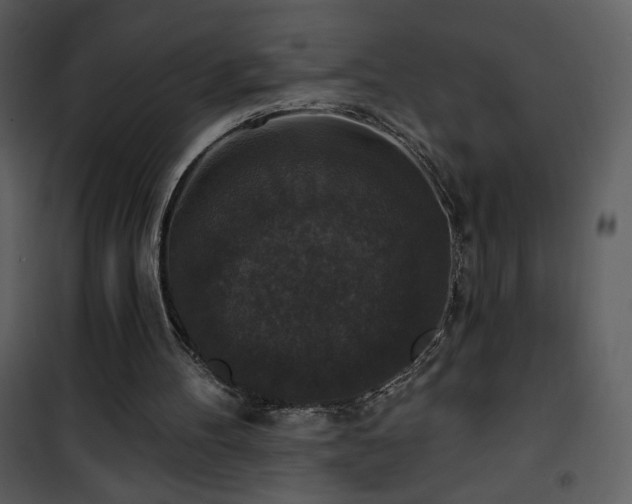 X0000102000100200807181214