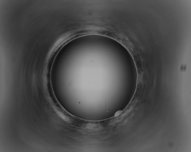 X0000102000101200807181214