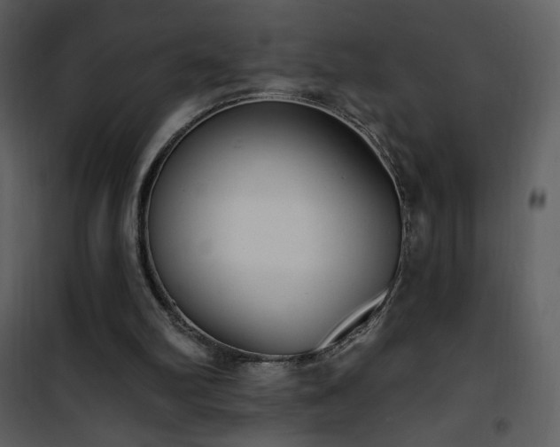 X0000102000102200807181214