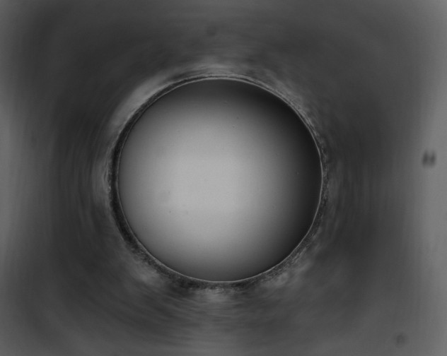 X0000102000103200807181214