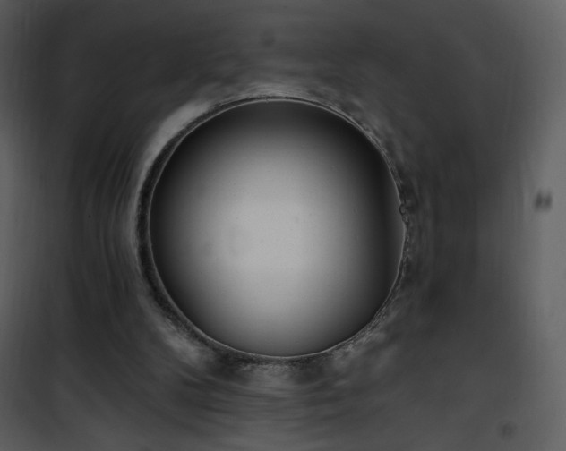 X0000102000104200807181214