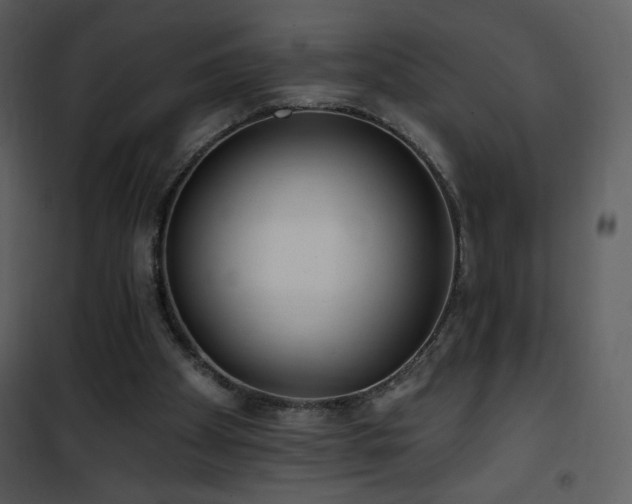 X0000102000105200807181214