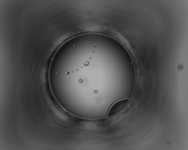 X0000102000106200807181214