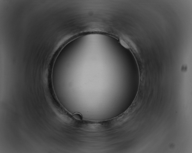 X0000102000108200807181214