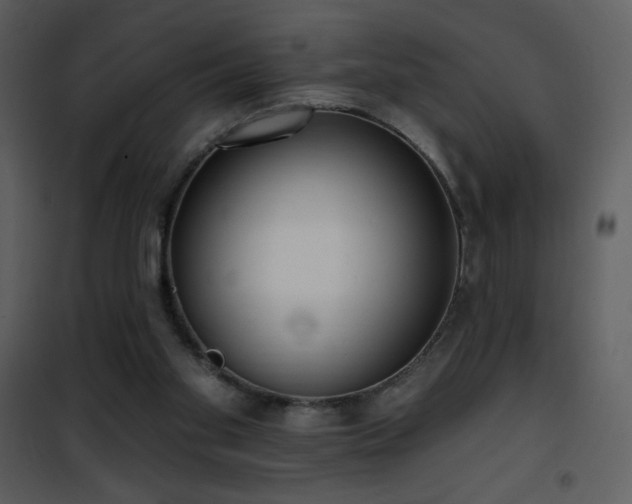 X0000102000109200807181214