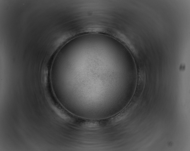 X0000102000110200807181214