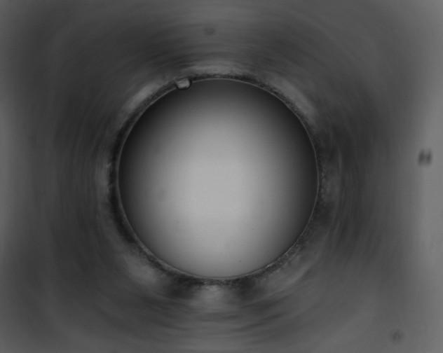 X0000102000111200807181214