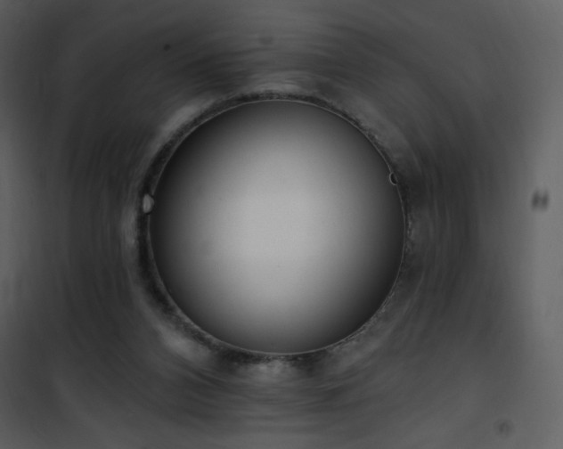 X0000102000112200807181214