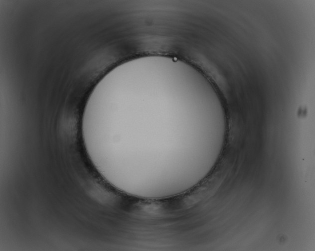 X0000102000113200807181214