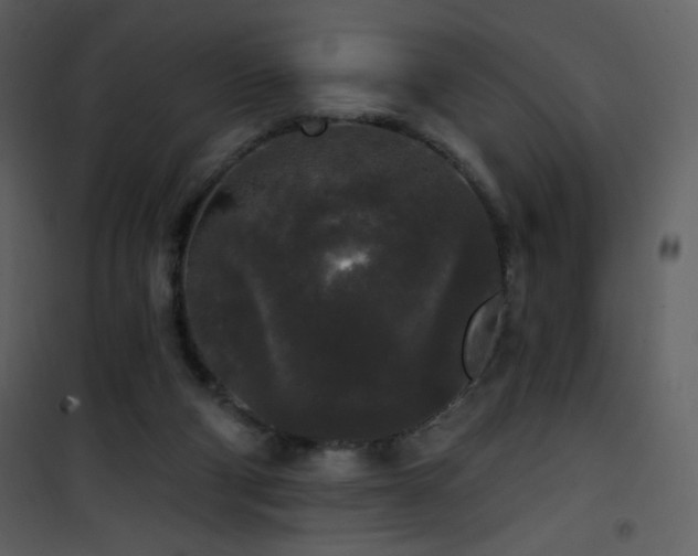 X0000102000114200807181214