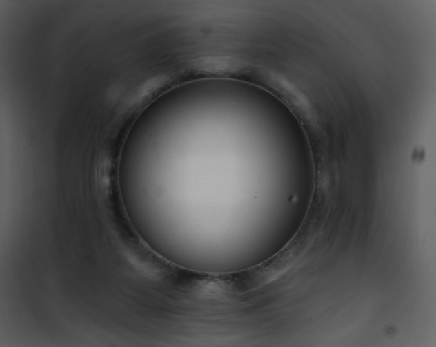 X0000102000115200807181214