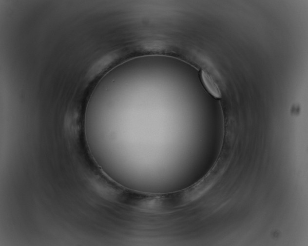 X0000102000116200807181214