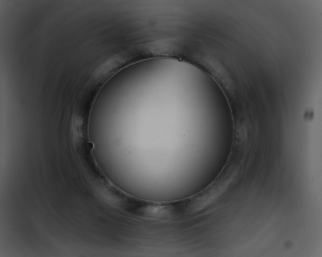 X0000102000117200807181214