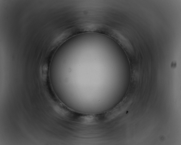 X0000102000118200807181214