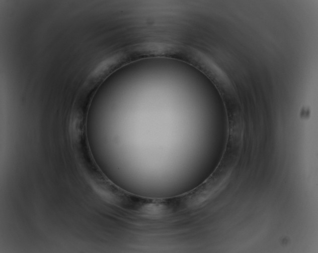 X0000102000119200807181214