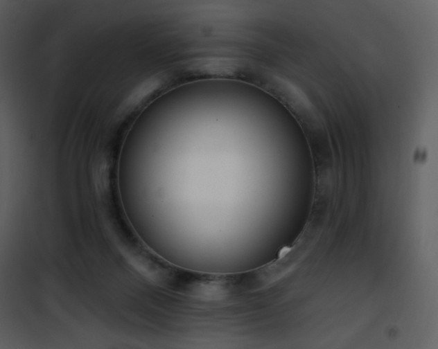 X0000102000120200807181214