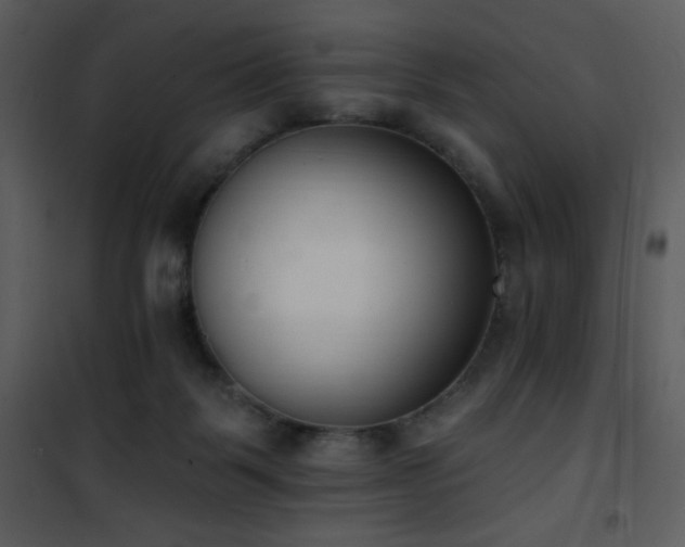 X0000102000123200807181214