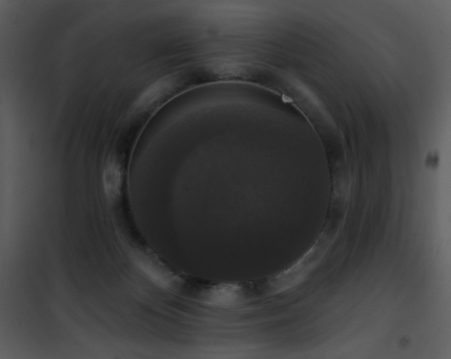 X0000102000124200807181214