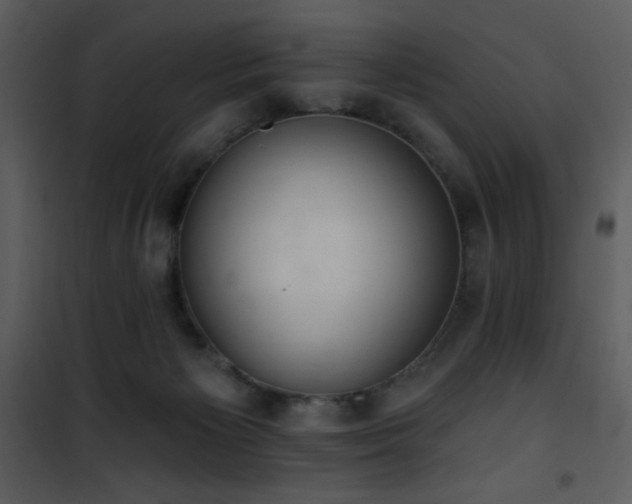 X0000102000125200807181214