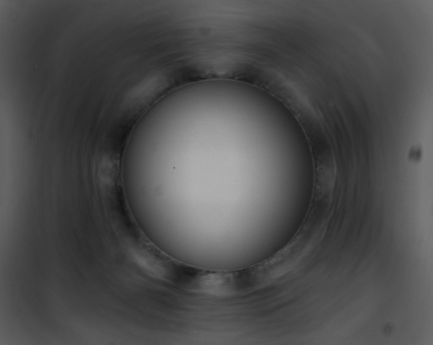 X0000102000126200807181214