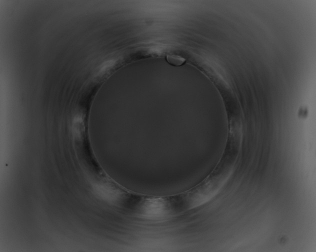 X0000102000127200807181214