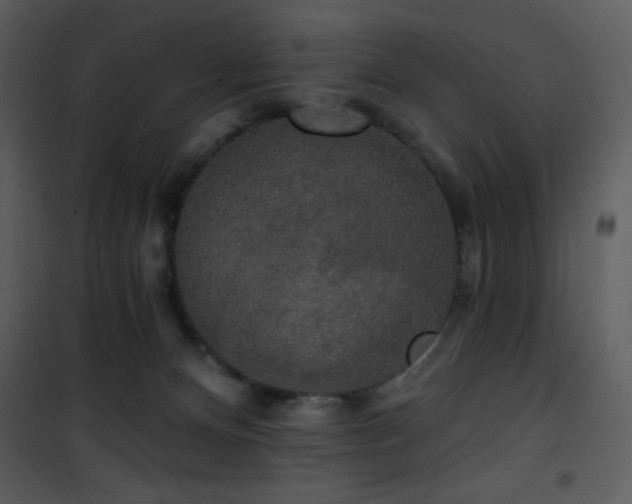 X0000102000128200807181214