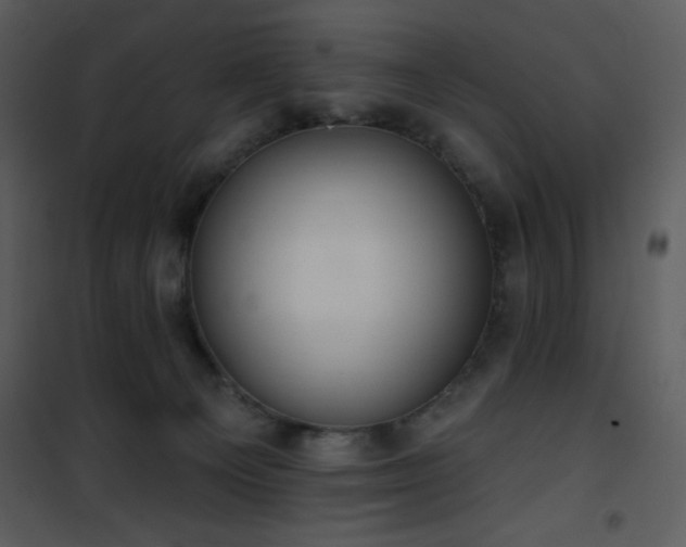 X0000102000129200807181214