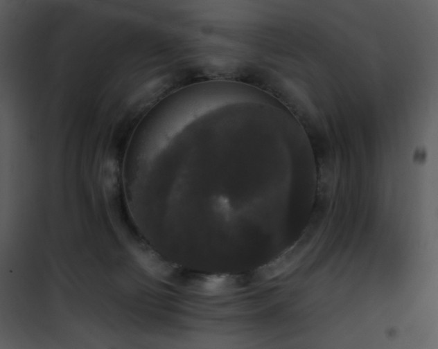 X0000102000130200807181214