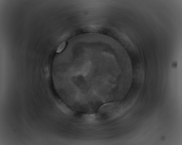 X0000102000131200807181214